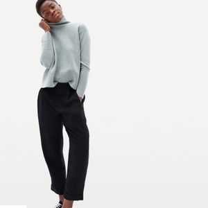 Everlane Put together pleated pant